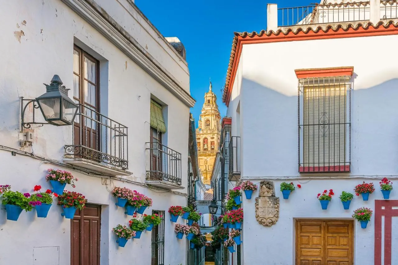 Appartement Atico A 1 Minuto De La Mezquita-Catedral à Cordoue 0*,  Espagne
