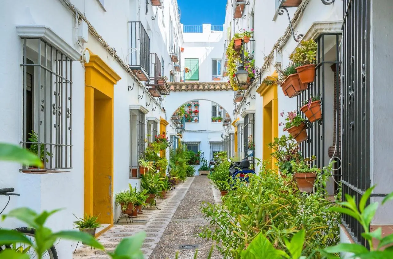 Appartement Atico A 1 Minuto De La Mezquita-Catedral à Cordoue