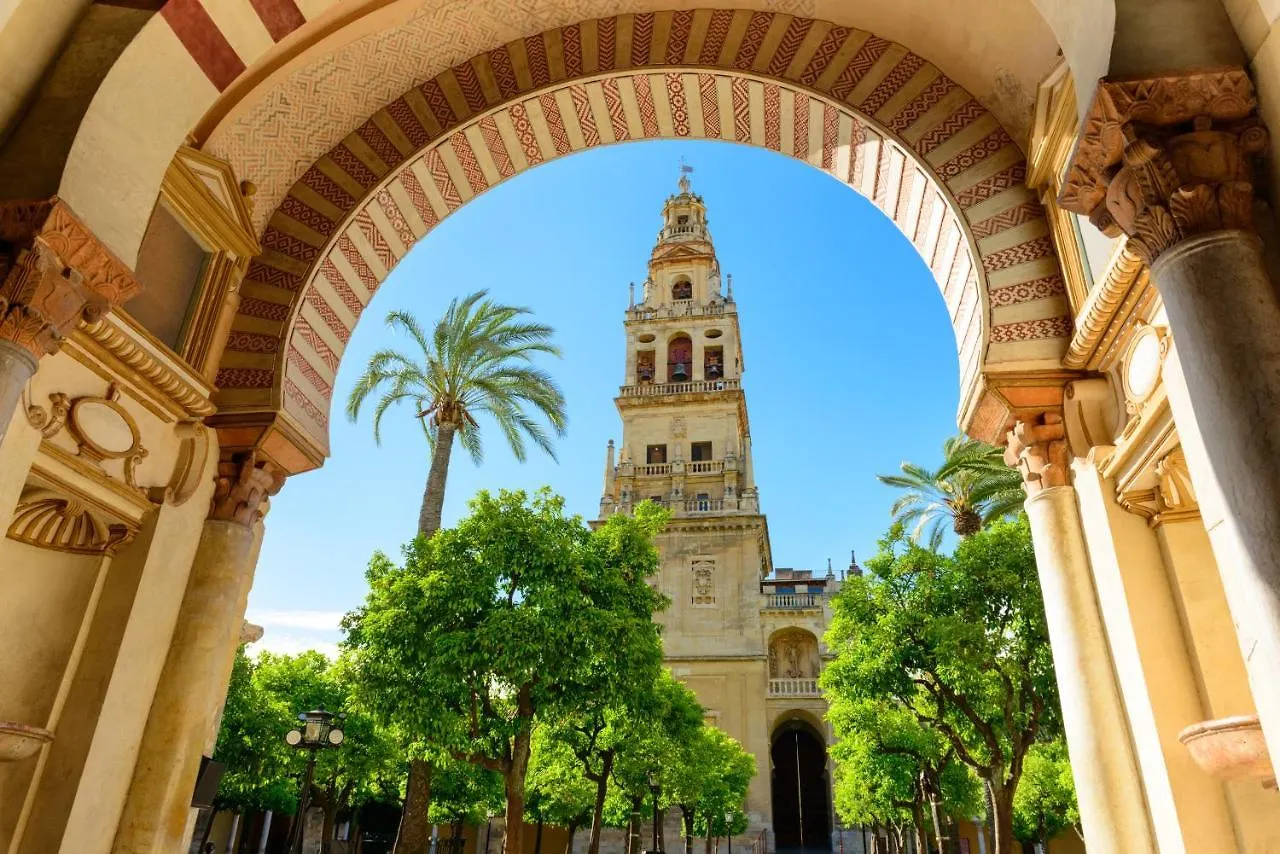 Atico A 1 Minuto De La Mezquita-Catedral Apartment Cordoba Spain